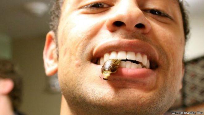 الطالب الأمريكي كاميرون برانتلي تناول وجبات الحشرات والصراصير والديدان ثلاث مرات يوميا على مدار شهر كامل